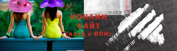 гашик Володарск