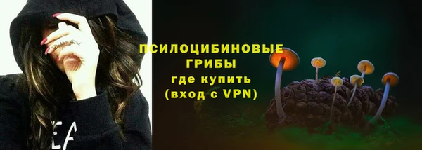 гашик Володарск