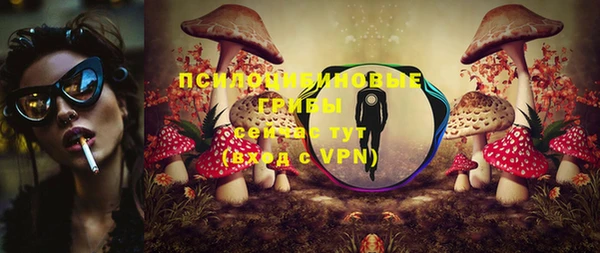 гашик Володарск